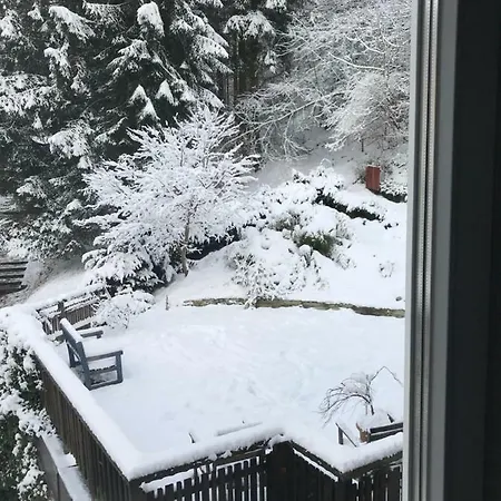 Gisi Innsbruck