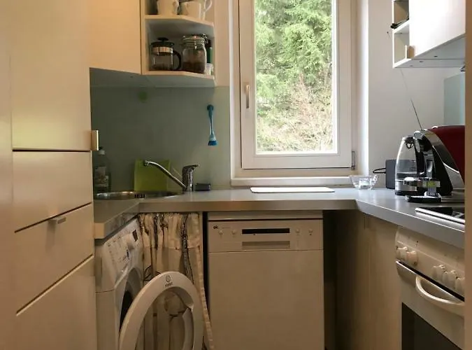 Gisi * インスブルック