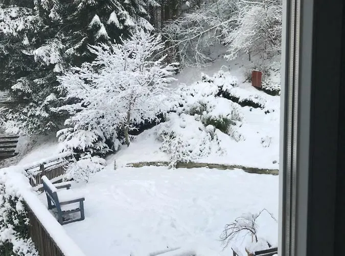 Gisi インスブルック